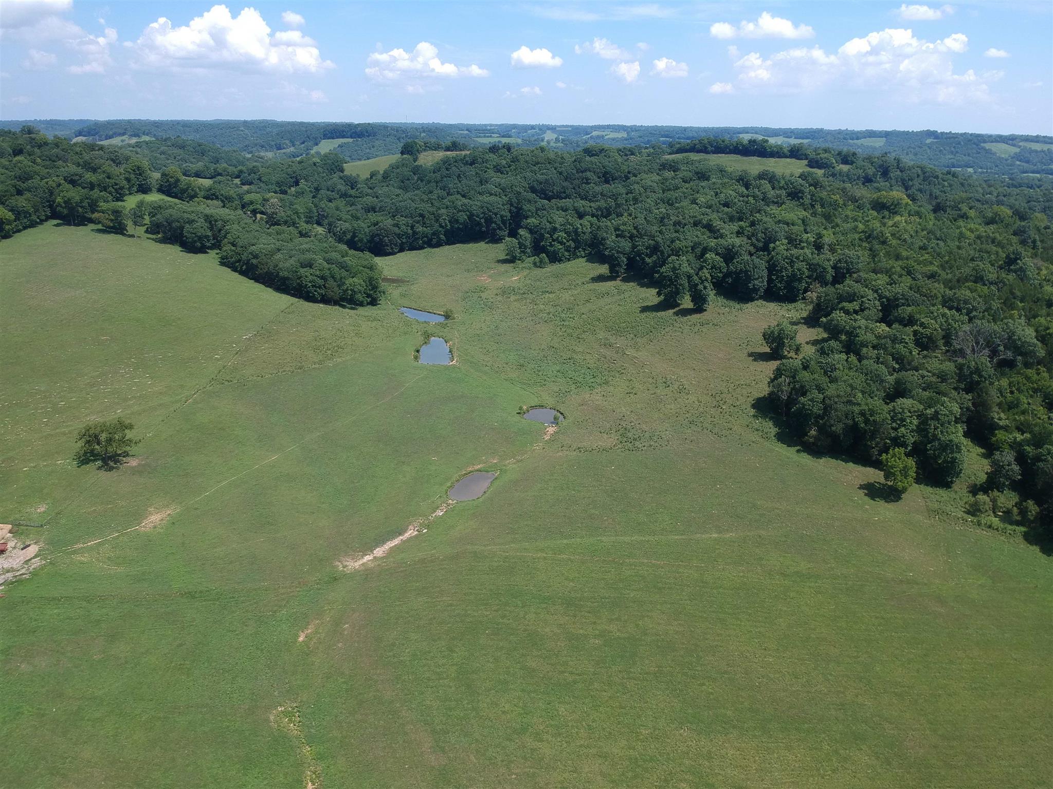 153 Polecat Branch Road Fayetteville, TN 37334 - Photo 8 of 10