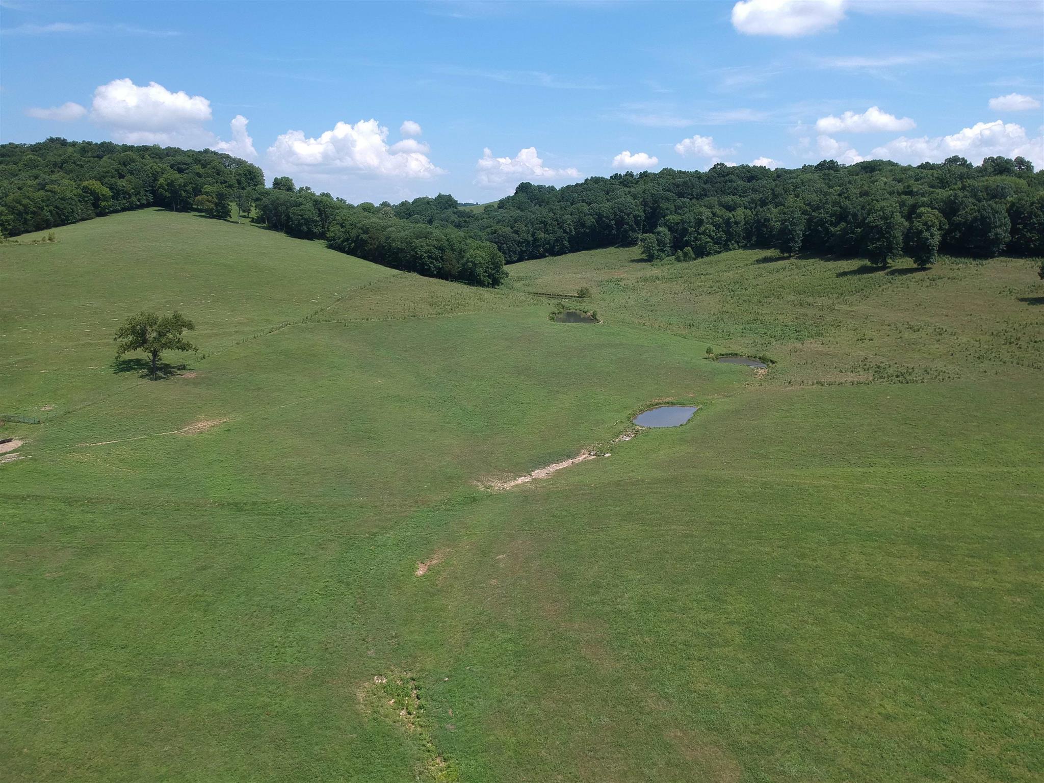 153 Polecat Branch Road Fayetteville, TN 37334 - Photo 10 of 10