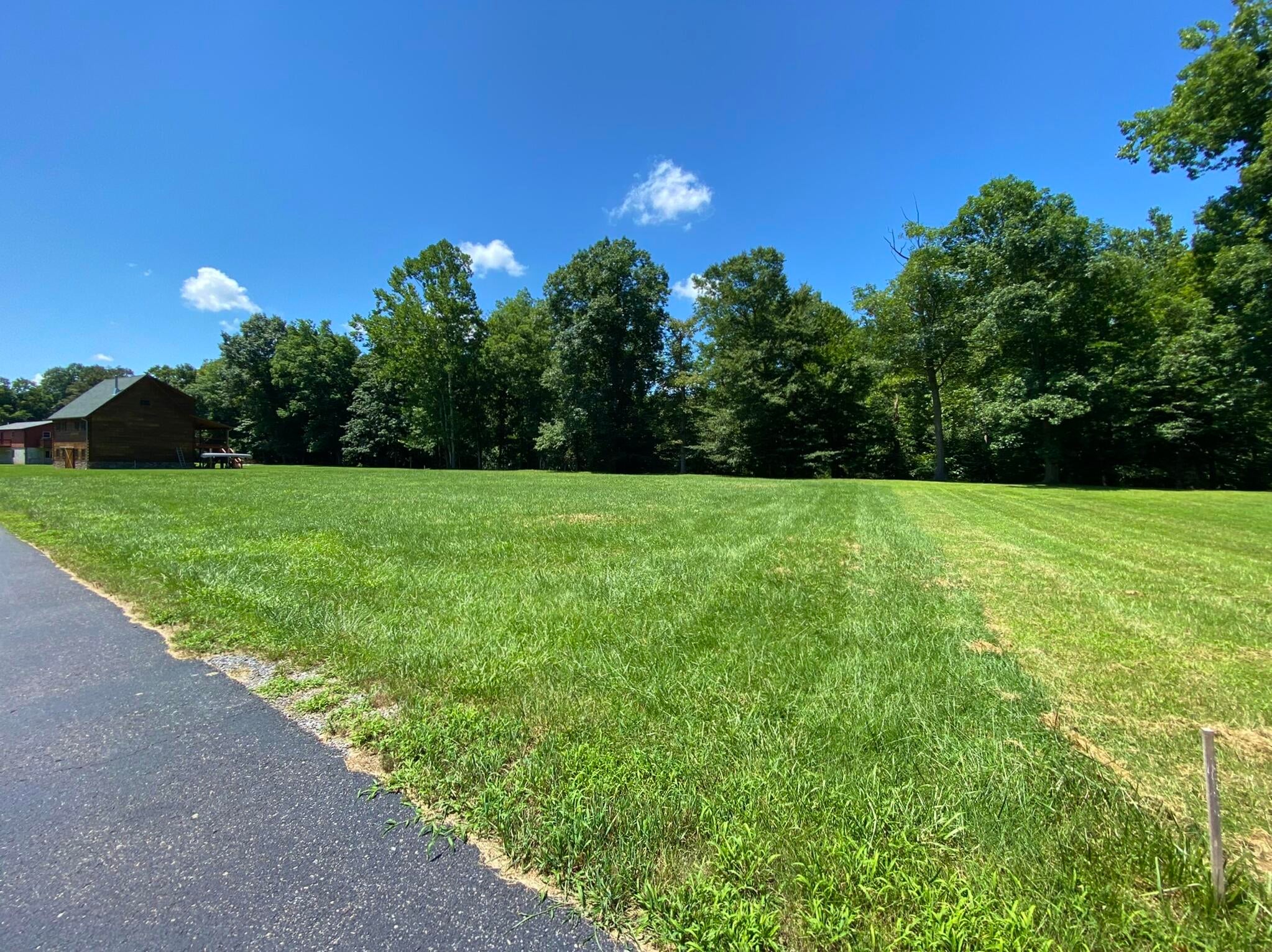 Lot 31 Fox Run Road Caldwell, WV 24925 - Photo 3 of 13 Gallery Image 3