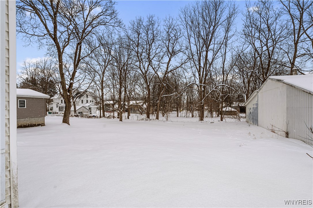 63 Prospect Street Warsaw, NY 14569 - Photo 26 of 32 Back yard