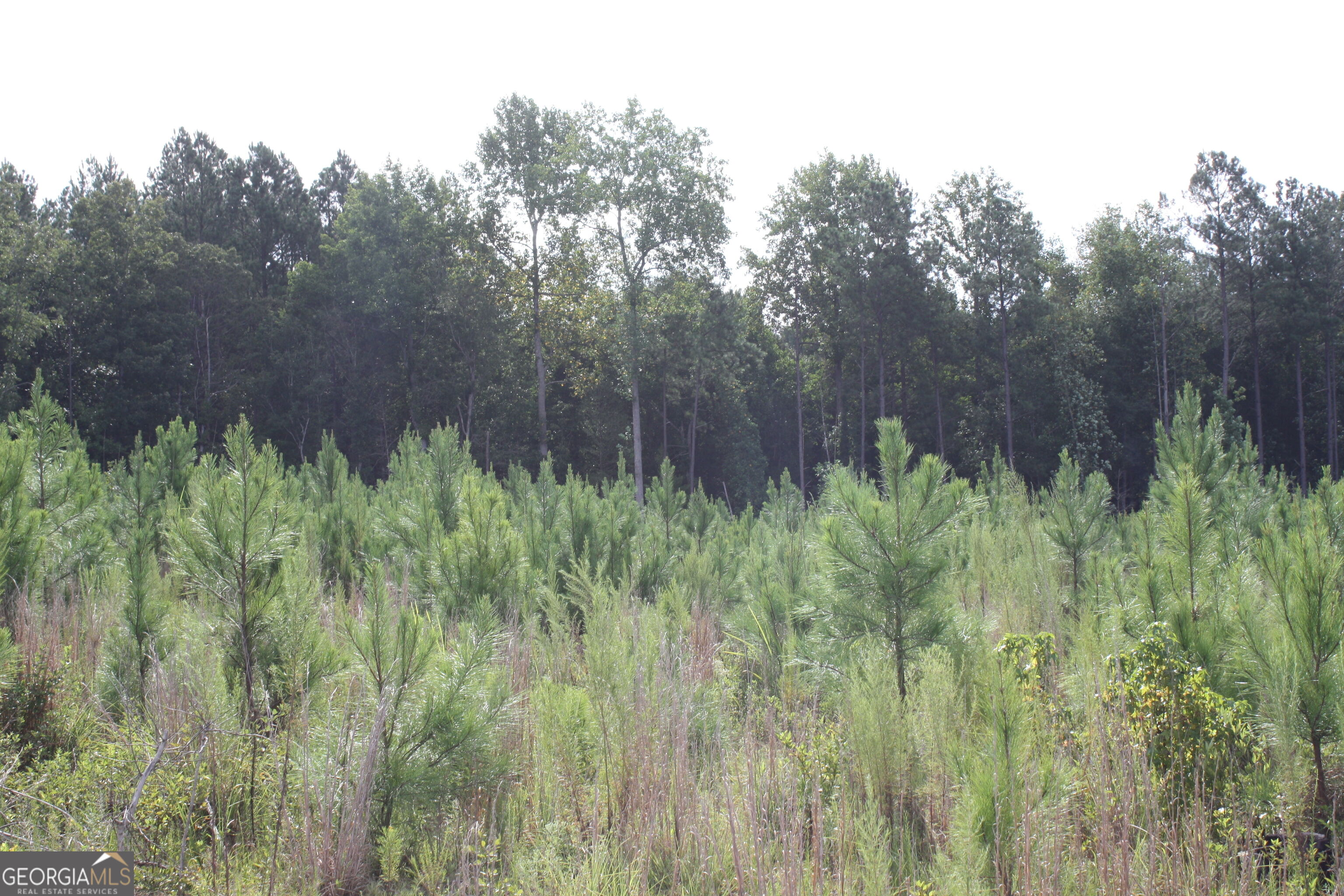 0 Balerma Church Road, Unit TRACT 1 Sparta, GA 31087 - Photo 11 of 21 Gallery Image 11