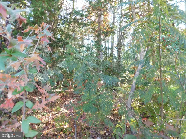$20,000 | 10-c 8 1 23 Forest Grove Road, Colonial Beach, VA 22443