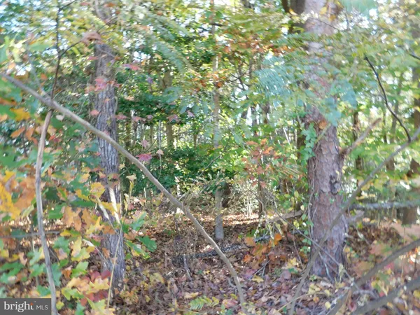 $20,000 | 10-c 8 1 23 Forest Grove Road, Colonial Beach, VA 22443