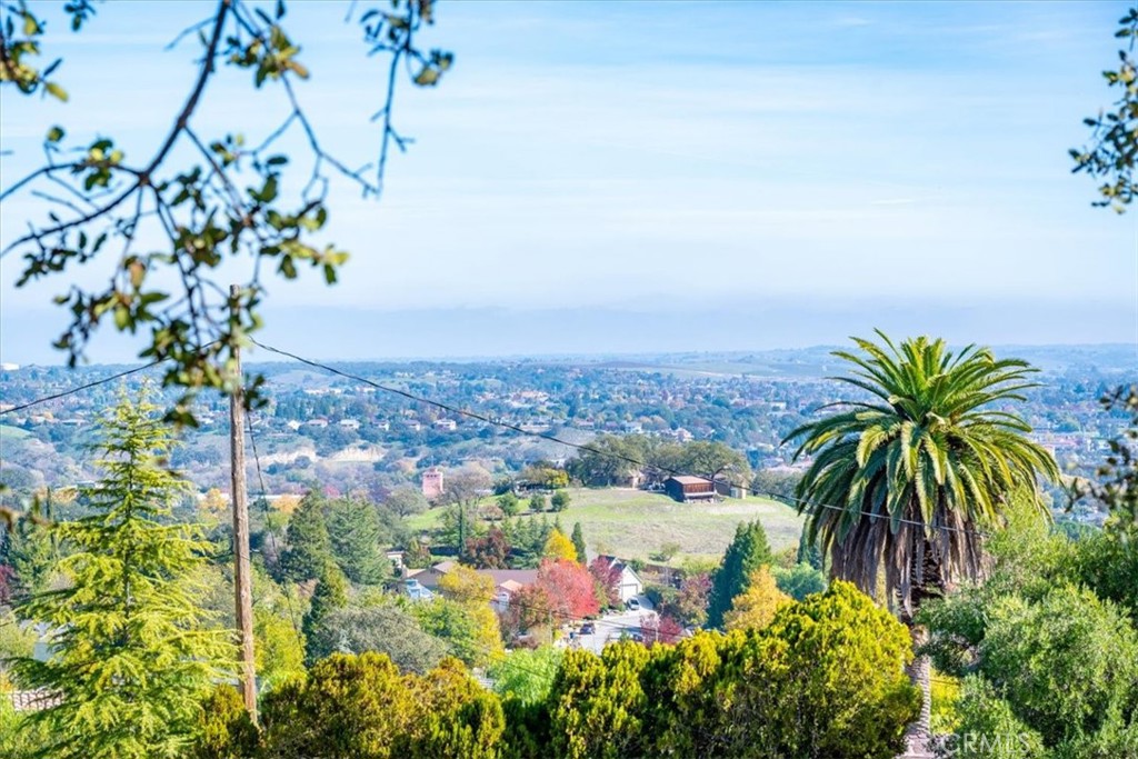 549 Derby Lane Paso Robles, CA 93446 - Photo 39 of 64 a view of a flower in a garden