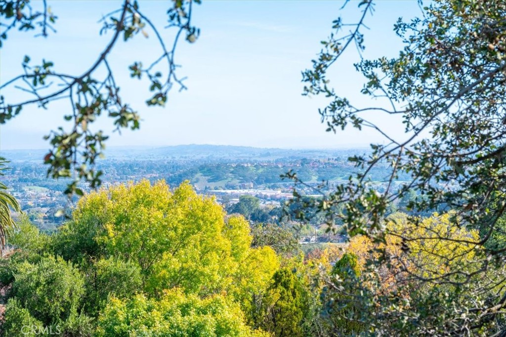 549 Derby Lane Paso Robles, CA 93446 - Photo 40 of 64 a view of a garden with plants and large trees