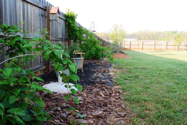 351 Bright Farm Road Duncan, SC 29334 - Photo 23 of 25