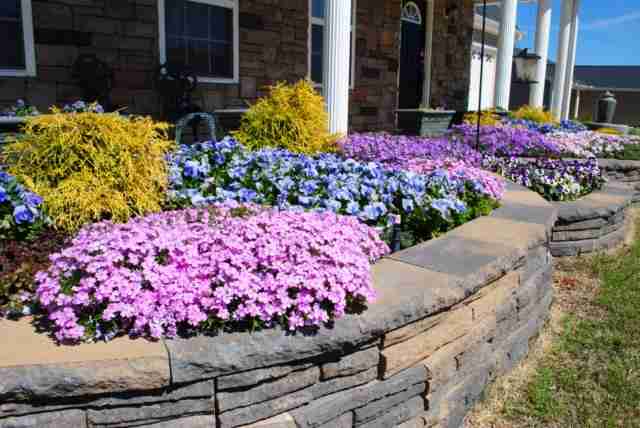 351 Bright Farm Road Duncan, SC 29334 - Photo 24 of 25
