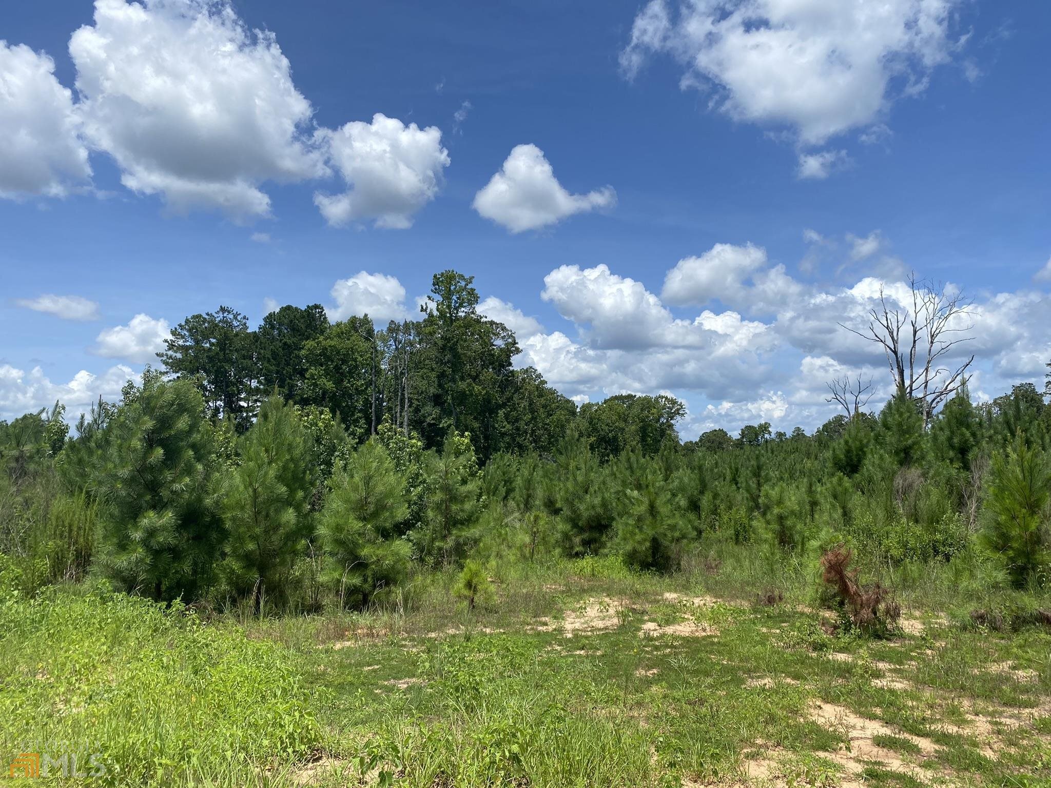 48 James Posey Road, Junction City, GA 31812 Compass