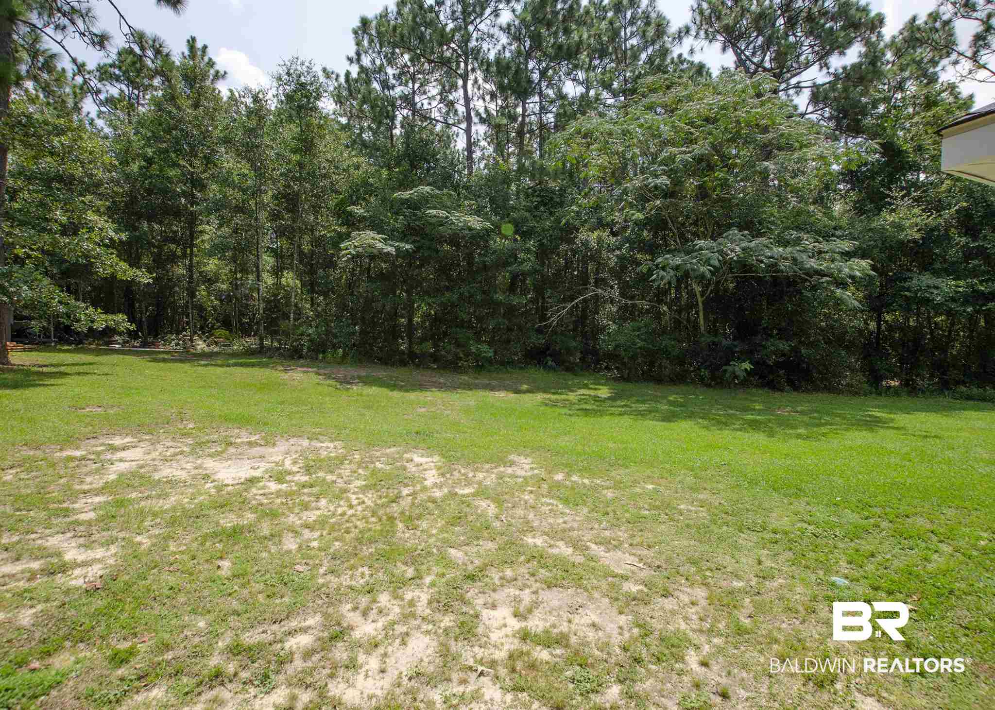6973 Richard Lane Eight Mile, AL 36613 - Photo 36 of 38 Back Yard