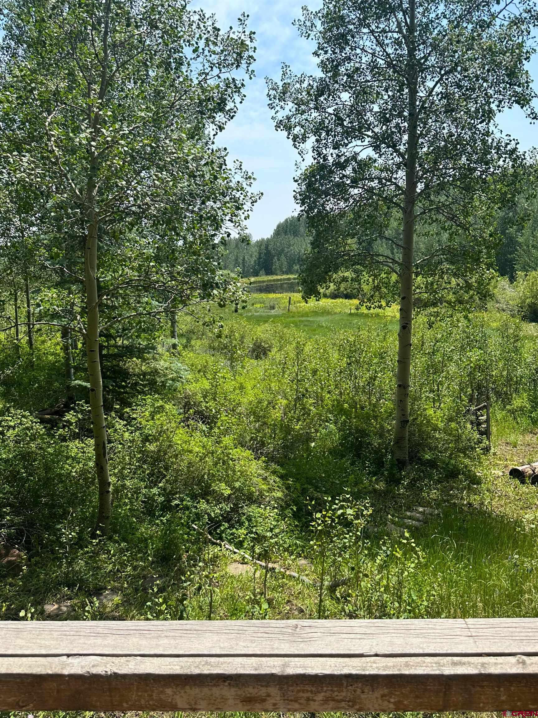 37081 Roatcap Road Paonia, CO 81428 - Photo 8 of 35