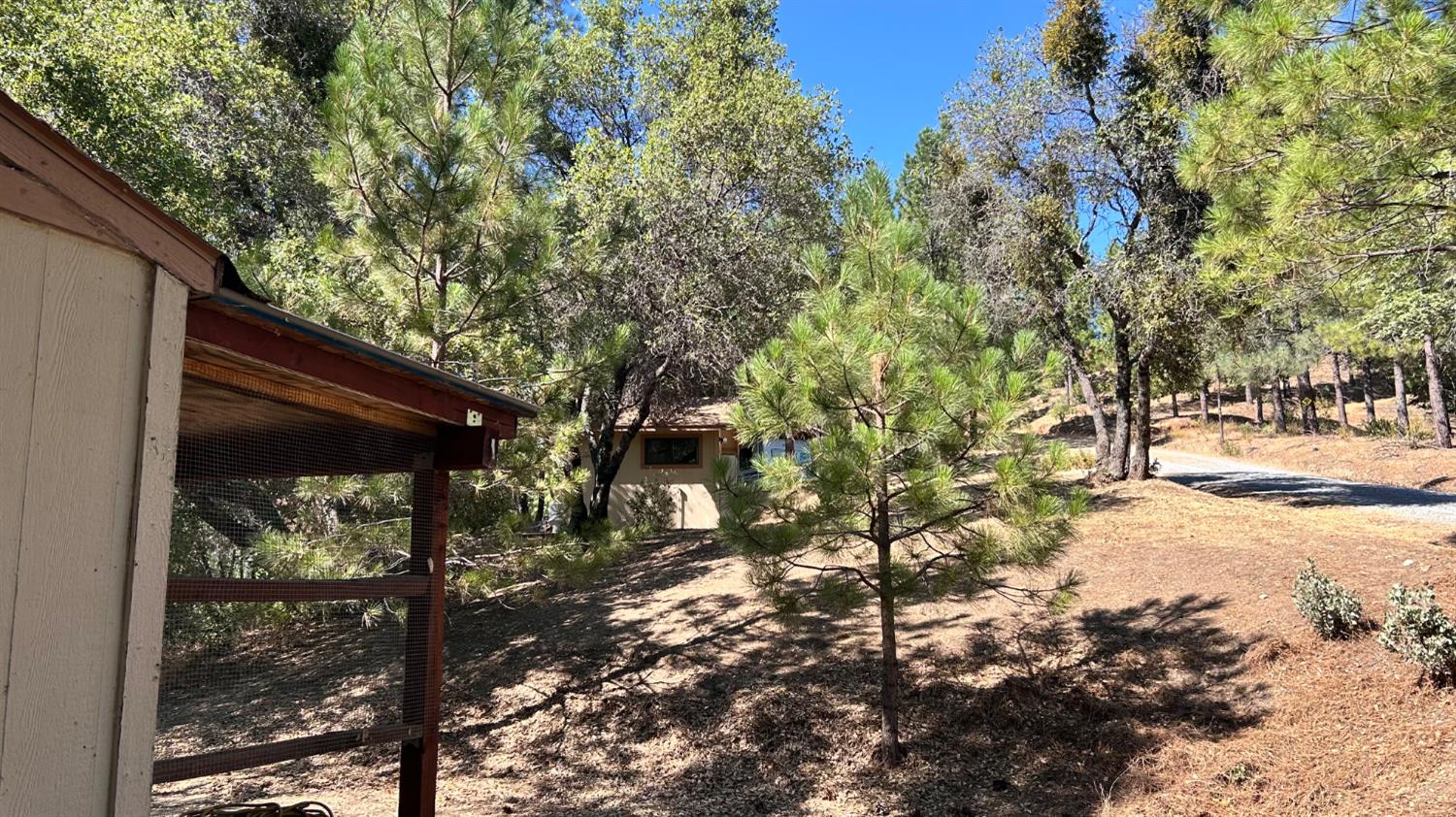 773 Red Fox Road Mountain Ranch, CA 95246 - Photo 15 of 24