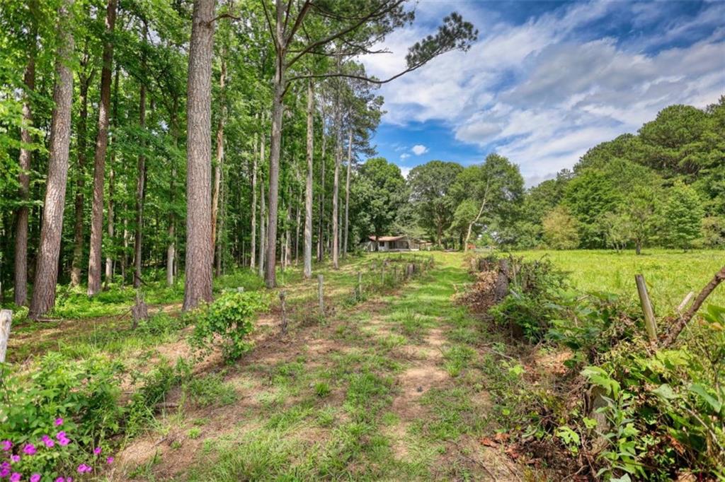2217 Meadows Road Newborn, GA 30056 - Photo 40 of 50