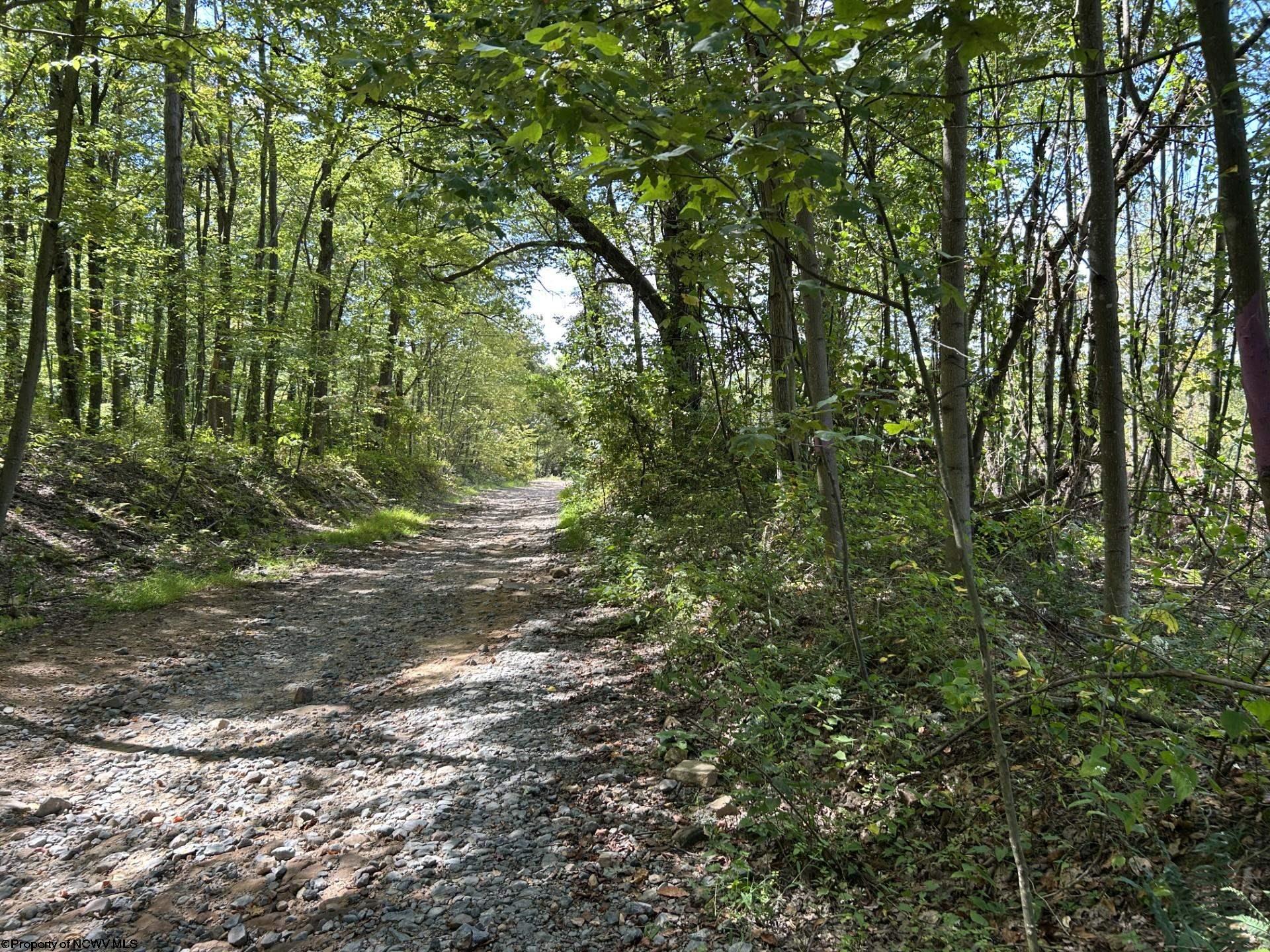 Lot 5 Crane School Road Albright, WV 26519 - Photo 1 of 5 Gallery Image 1