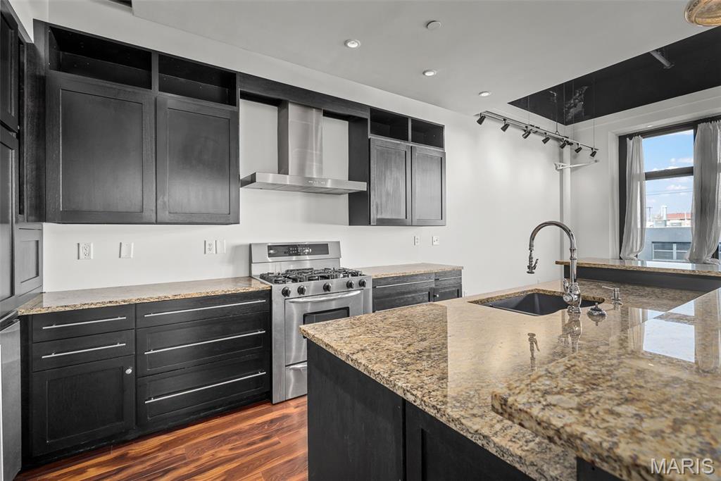 3010 Locust Street, Unit 208 St. Louis, MO 63103 - Photo 11 of 26