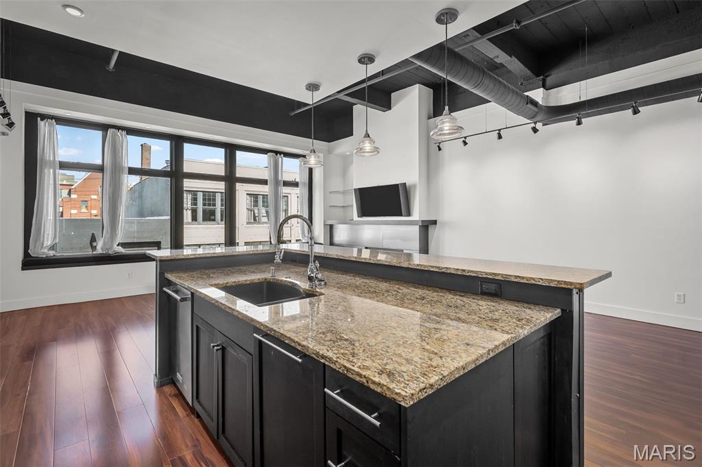 3010 Locust Street, Unit 208 St. Louis, MO 63103 - Photo 12 of 26