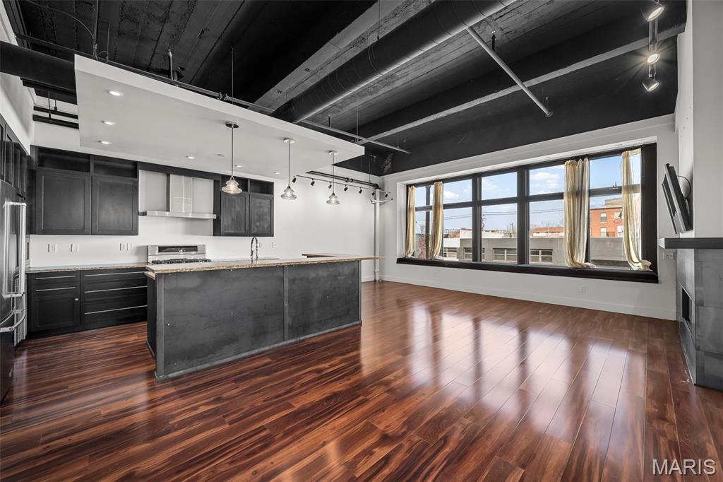 3010 Locust Street, Unit 208 St. Louis, MO 63103 - Photo 5 of 26