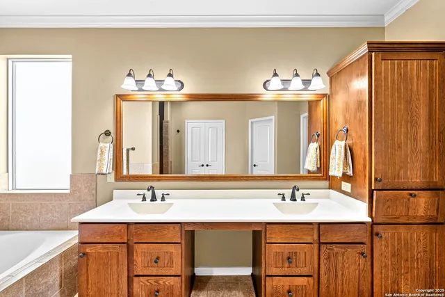 a view of a big yard with a large tree