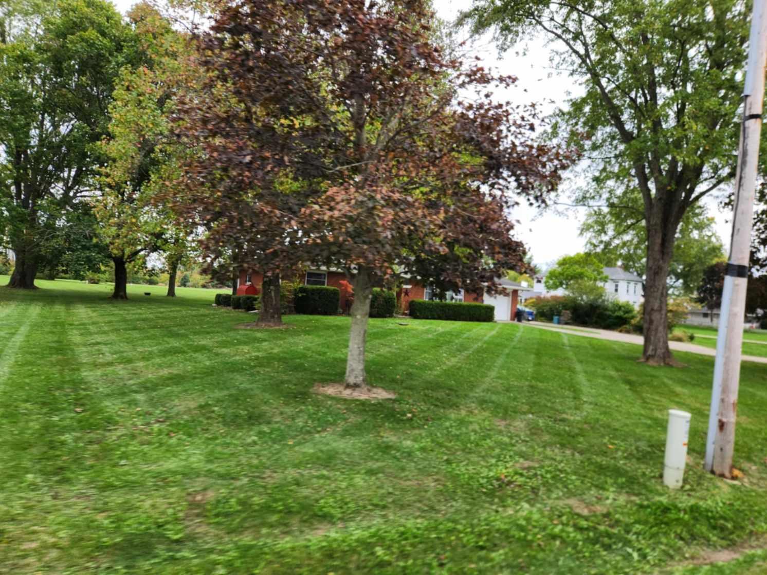 7225 Alkire Road Galloway, OH 43119 - Photo 2 of 35 Front to 7225 Alkire Rd