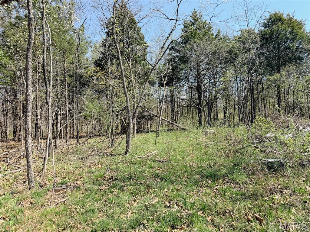 188.7 North Service Road West Sullivan, MO 63080 - Photo 62 of 66 Gallery Image 62