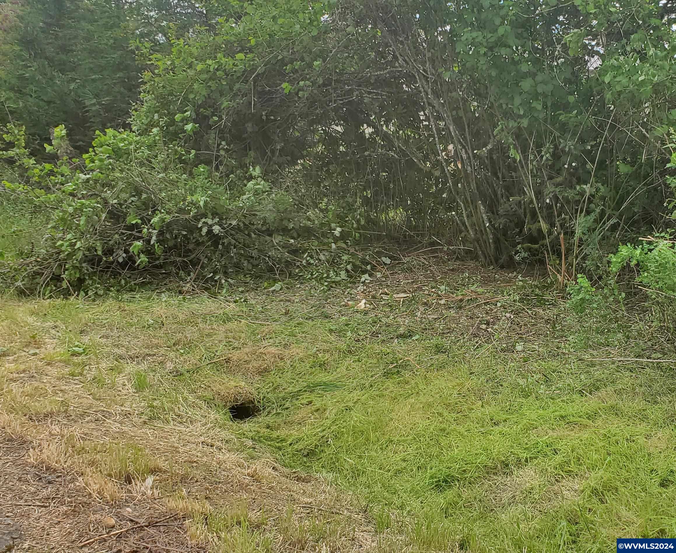 30200 Fairview Road Lebanon, OR 97355 - Photo 7 of 17