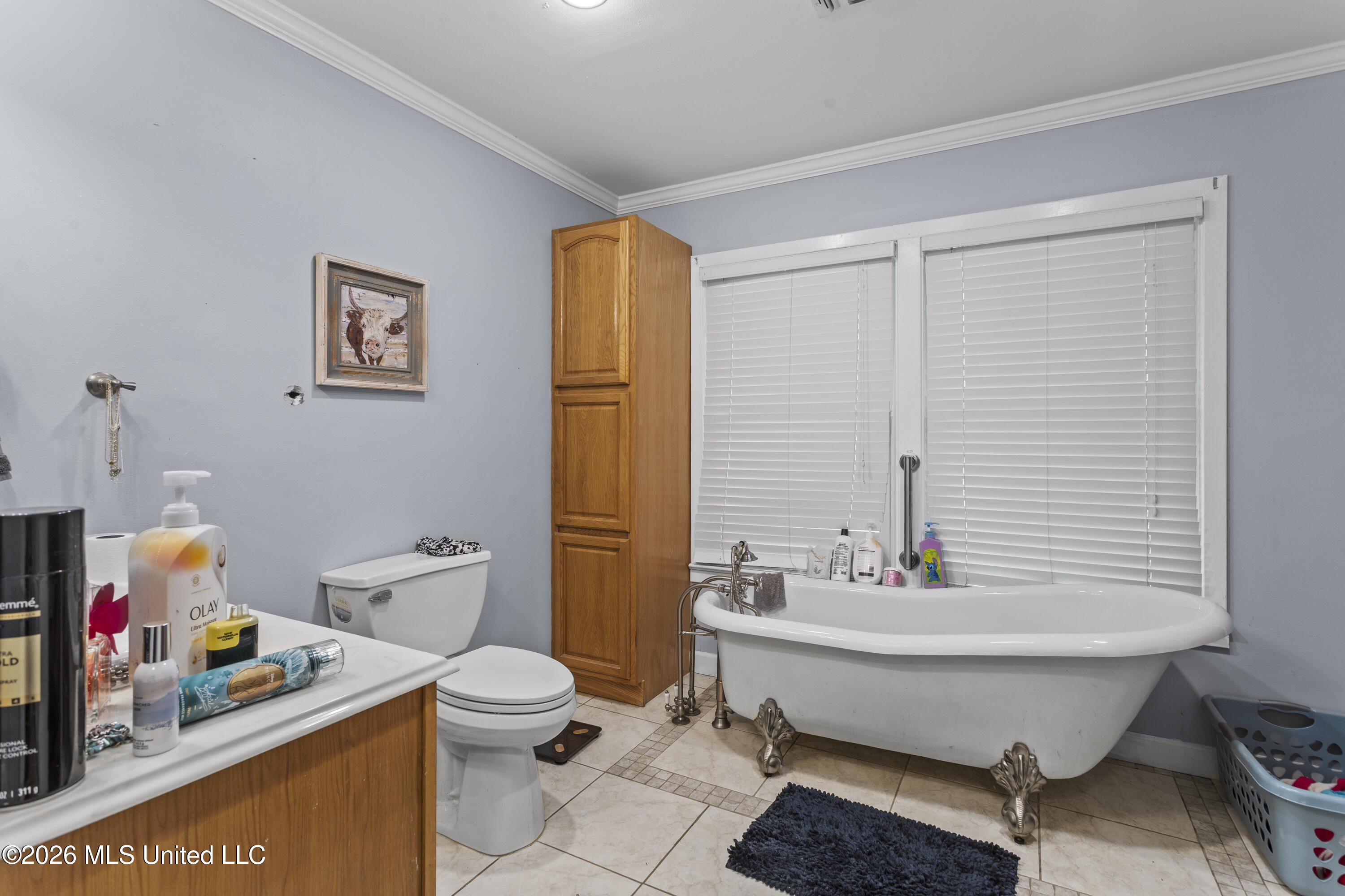 345 Balmoral Road Poplarville, MS 39470 - Photo 15 of 34 HJ0A2398