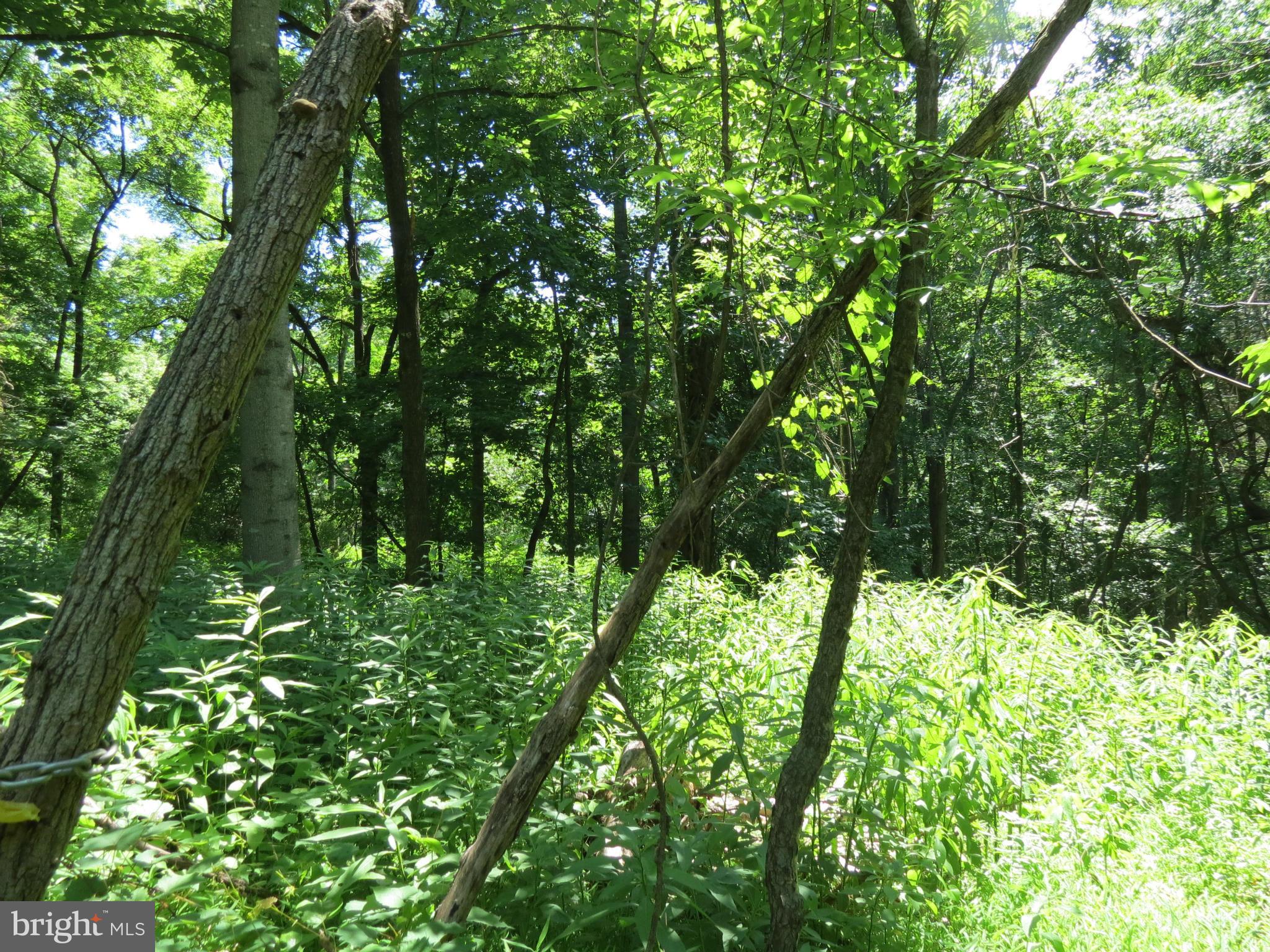 522 Woodville Route Castleton, VA 22716 - Photo 2 of 8 View