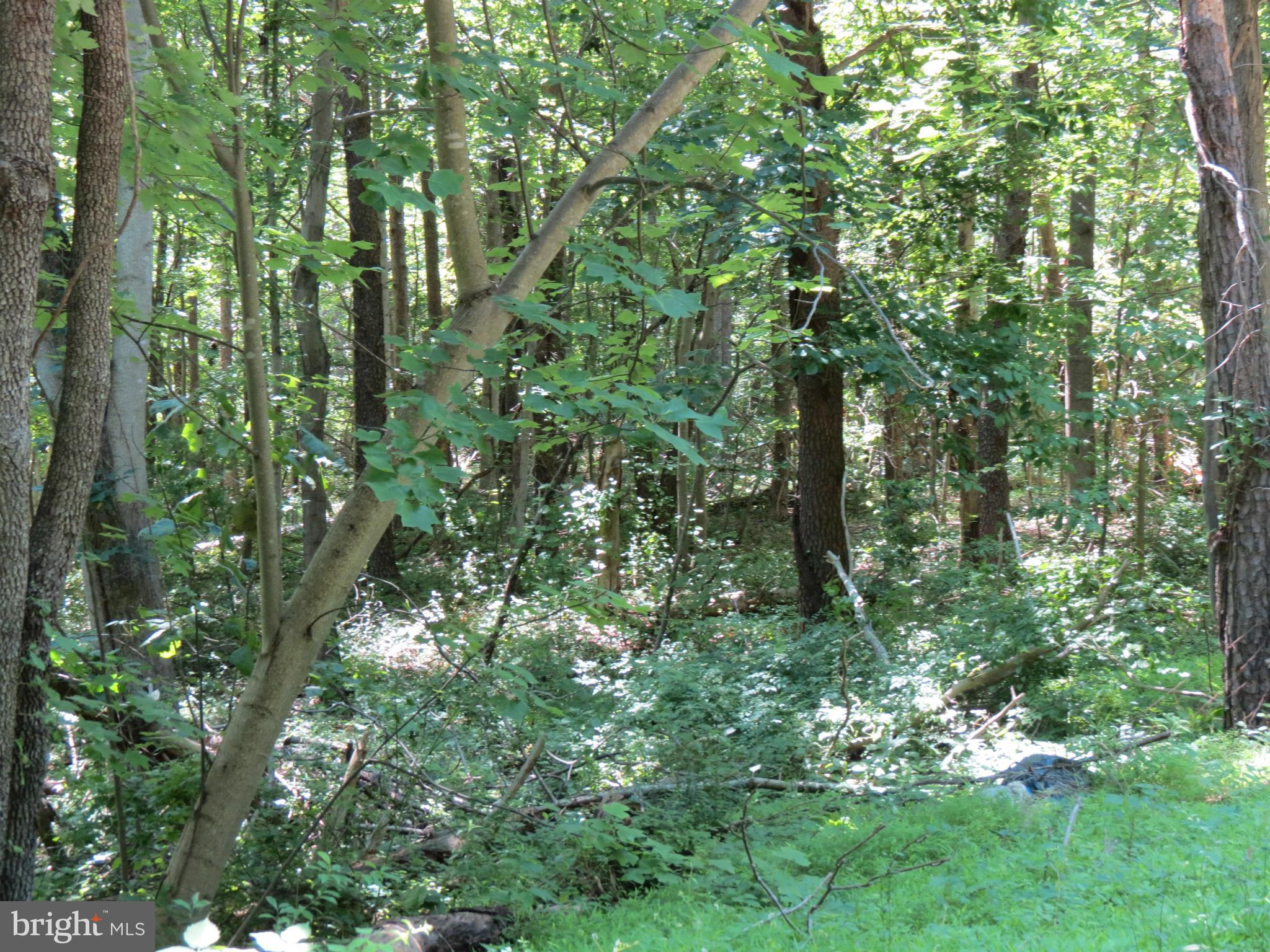 522 Woodville Route Castleton, VA 22716 - Photo 5 of 8 View