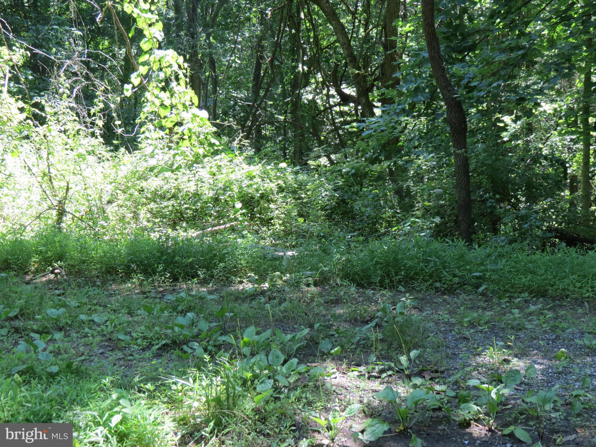 522 Woodville Route Castleton, VA 22716 - Photo 6 of 8 View