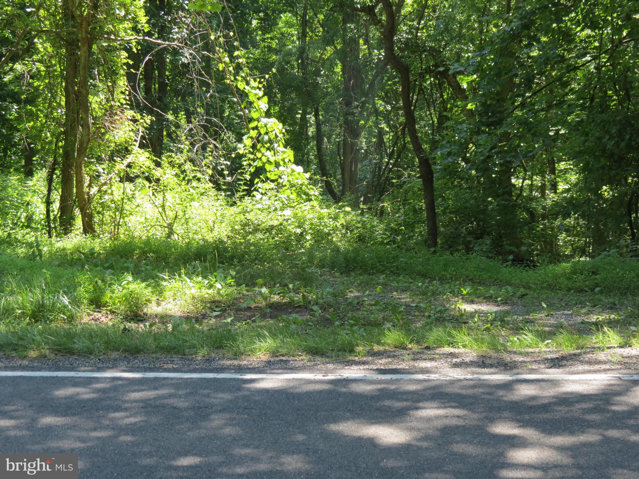 522 Woodville Route Castleton, VA 22716 - Photo 7 of 8 View