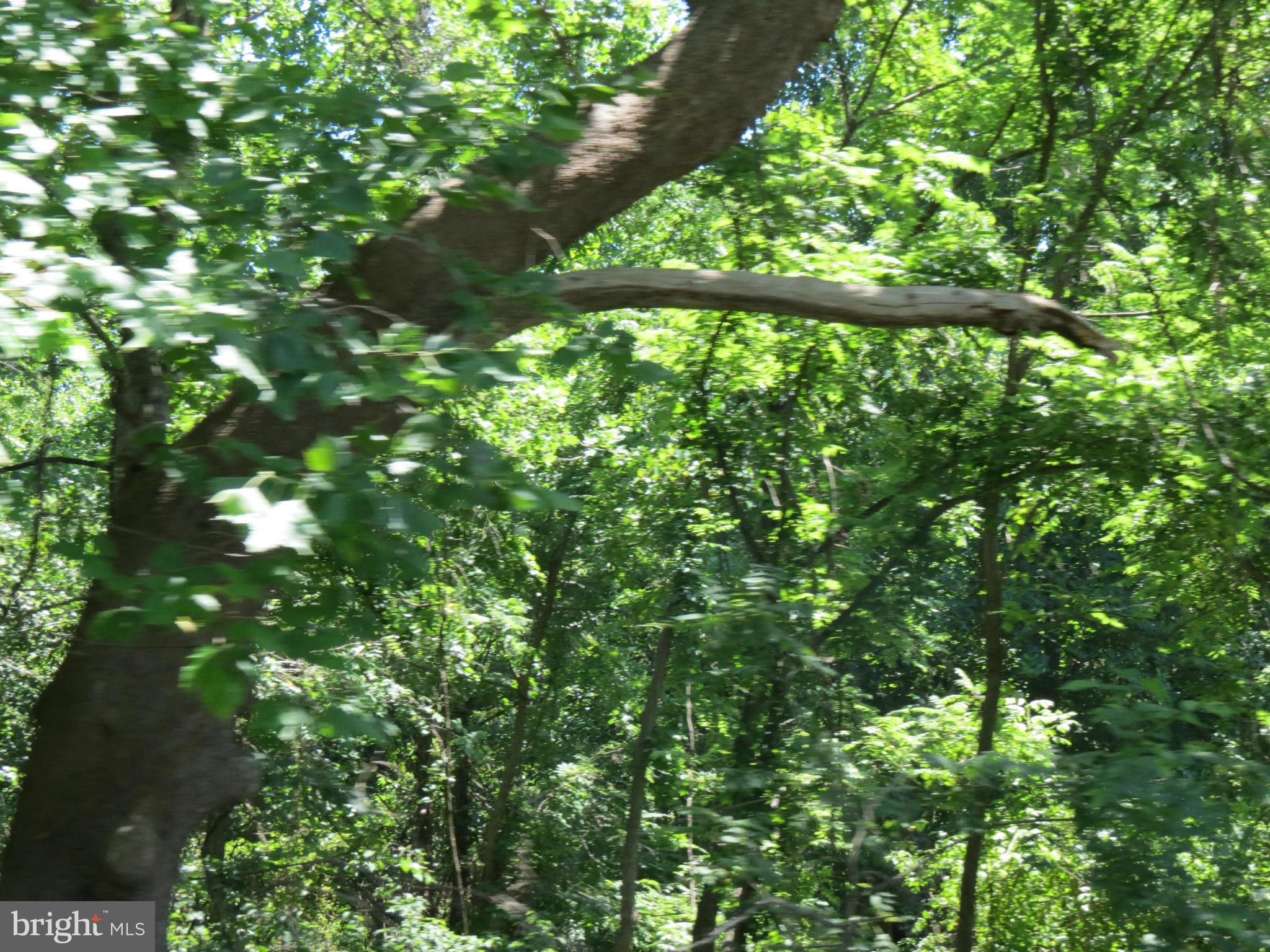 522 Woodville Route Castleton, VA 22716 - Photo 8 of 8 View
