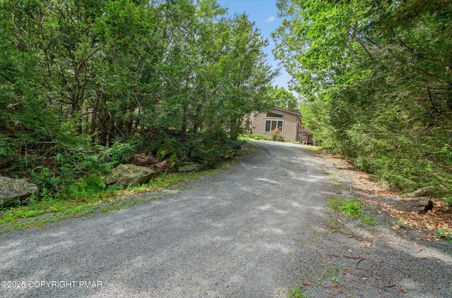 a kitchen with stainless steel appliances granite countertop a stove a sink and a dining table
