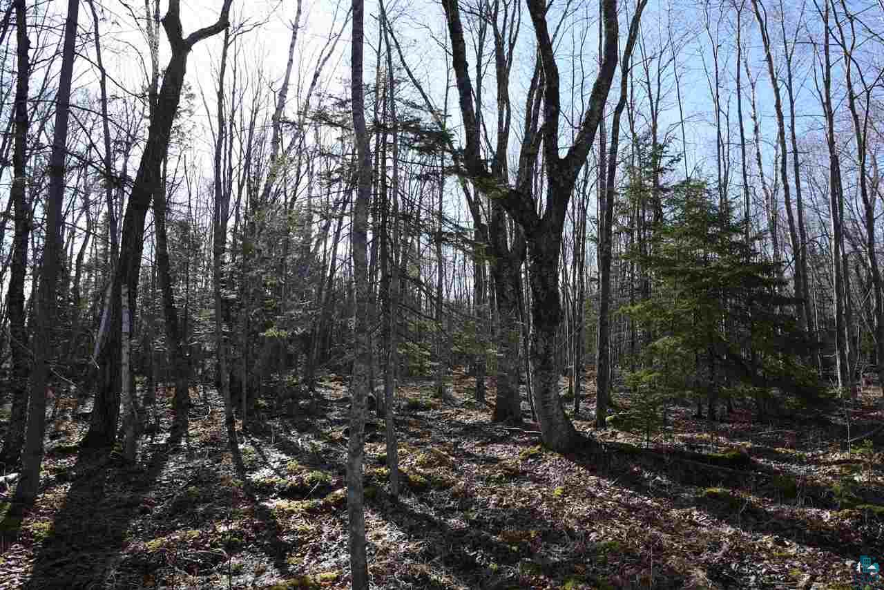 0 Mountain Ash Road Herbster, WI 54844 - Photo 11 of 19 Gallery Image 11