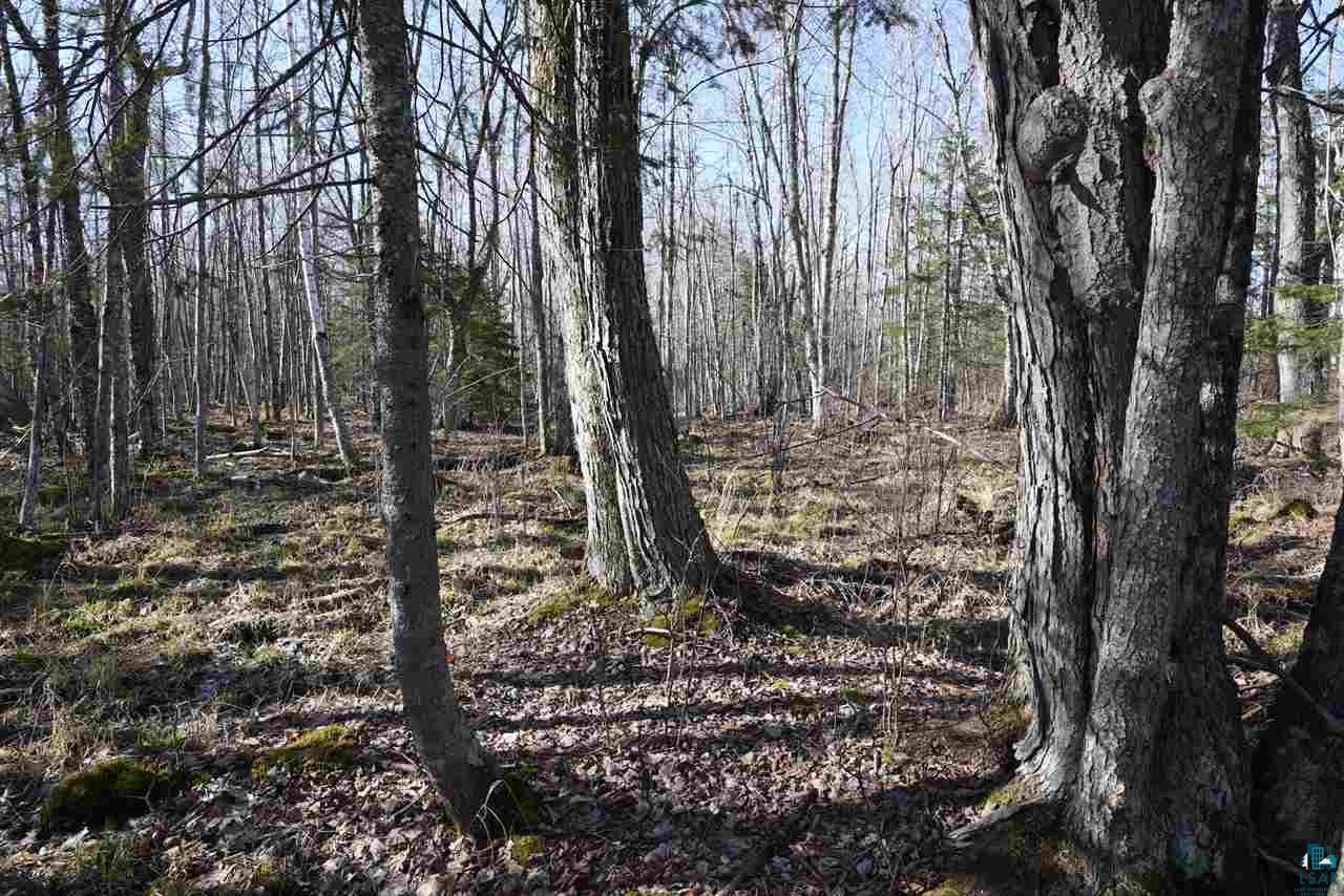 0 Mountain Ash Road Herbster, WI 54844 - Photo 12 of 19 Gallery Image 12