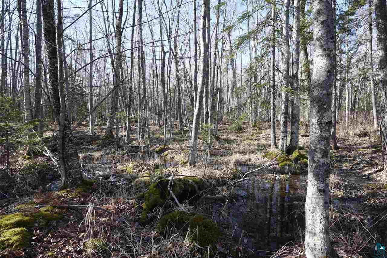 0 Mountain Ash Road Herbster, WI 54844 - Photo 13 of 19 Gallery Image 13