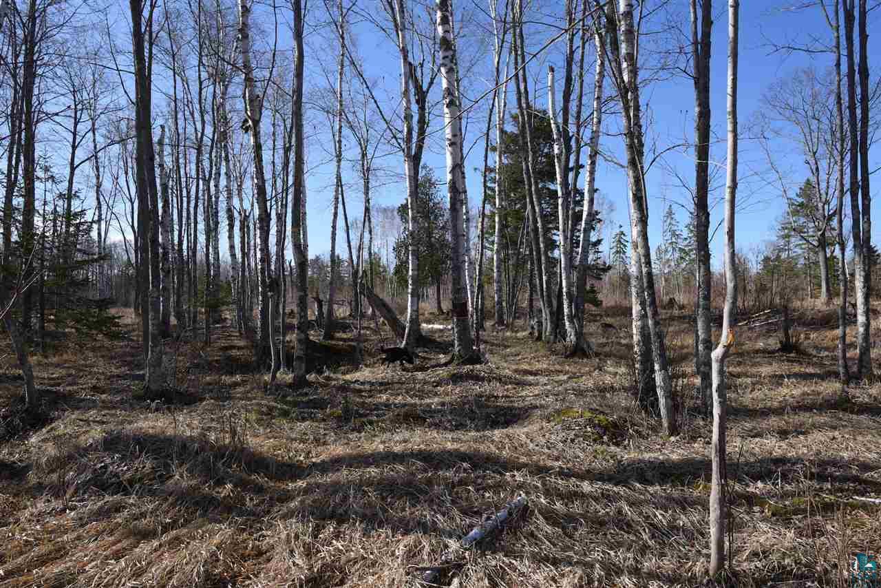 0 Mountain Ash Road Herbster, WI 54844 - Photo 16 of 19 Gallery Image 16