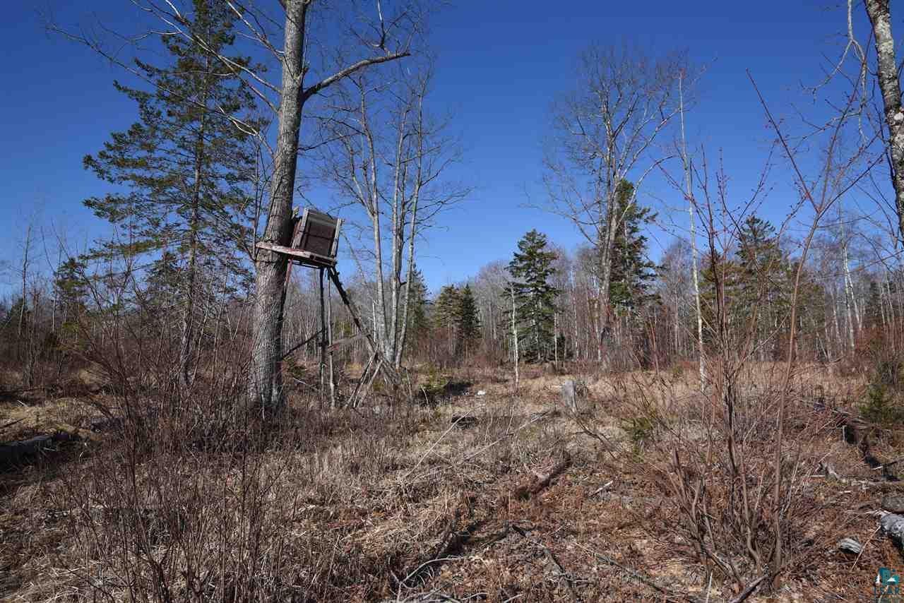 0 Mountain Ash Road Herbster, WI 54844 - Photo 8 of 19 Gallery Image 8