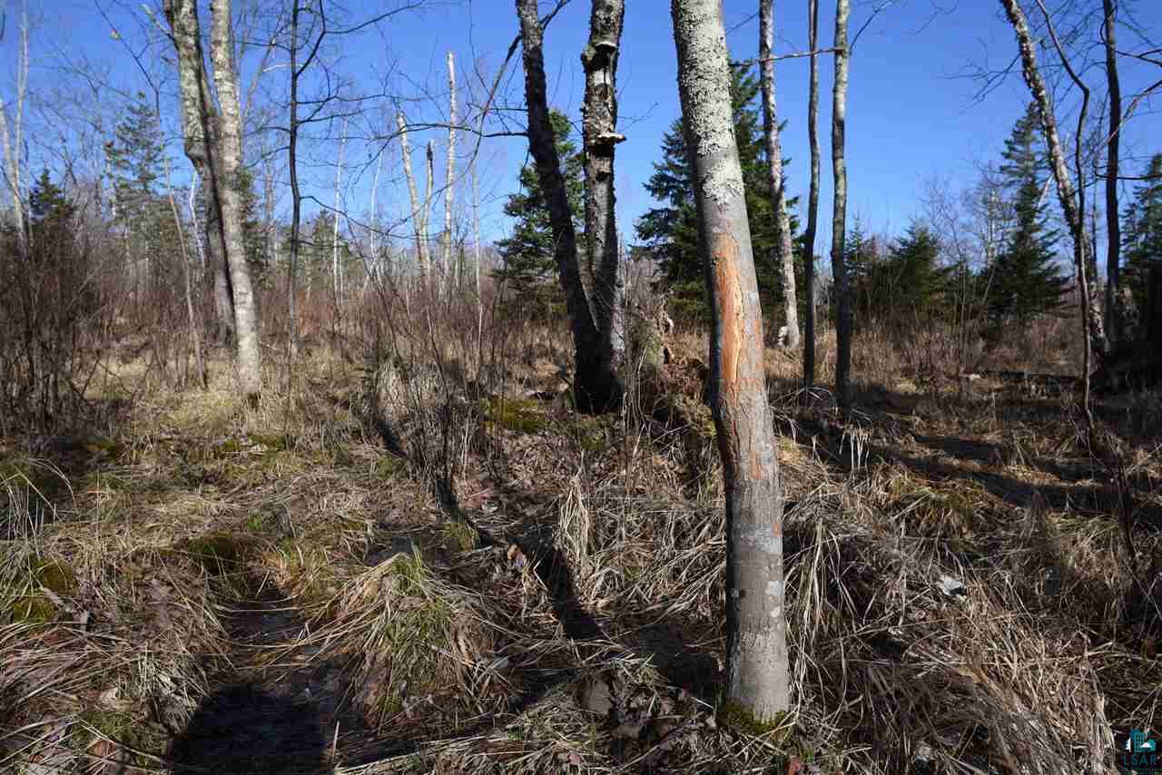 0 Mountain Ash Road Herbster, WI 54844 - Photo 10 of 19 Gallery Image 10