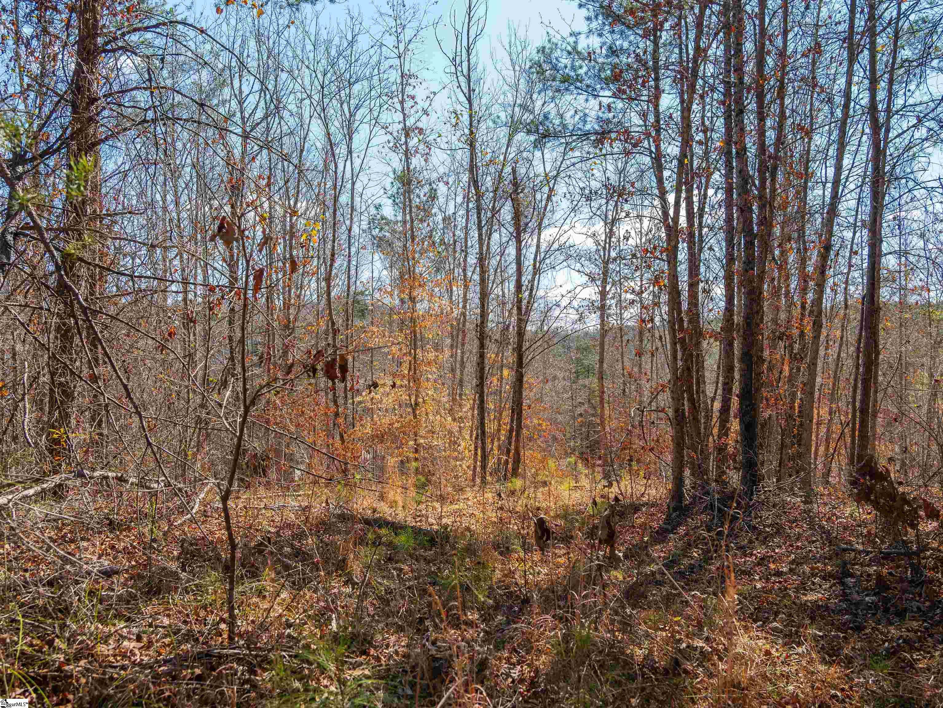 0 Crowe Creek Road, Unit LOT E Six Mile, SC 29682 - Photo 11 of 18