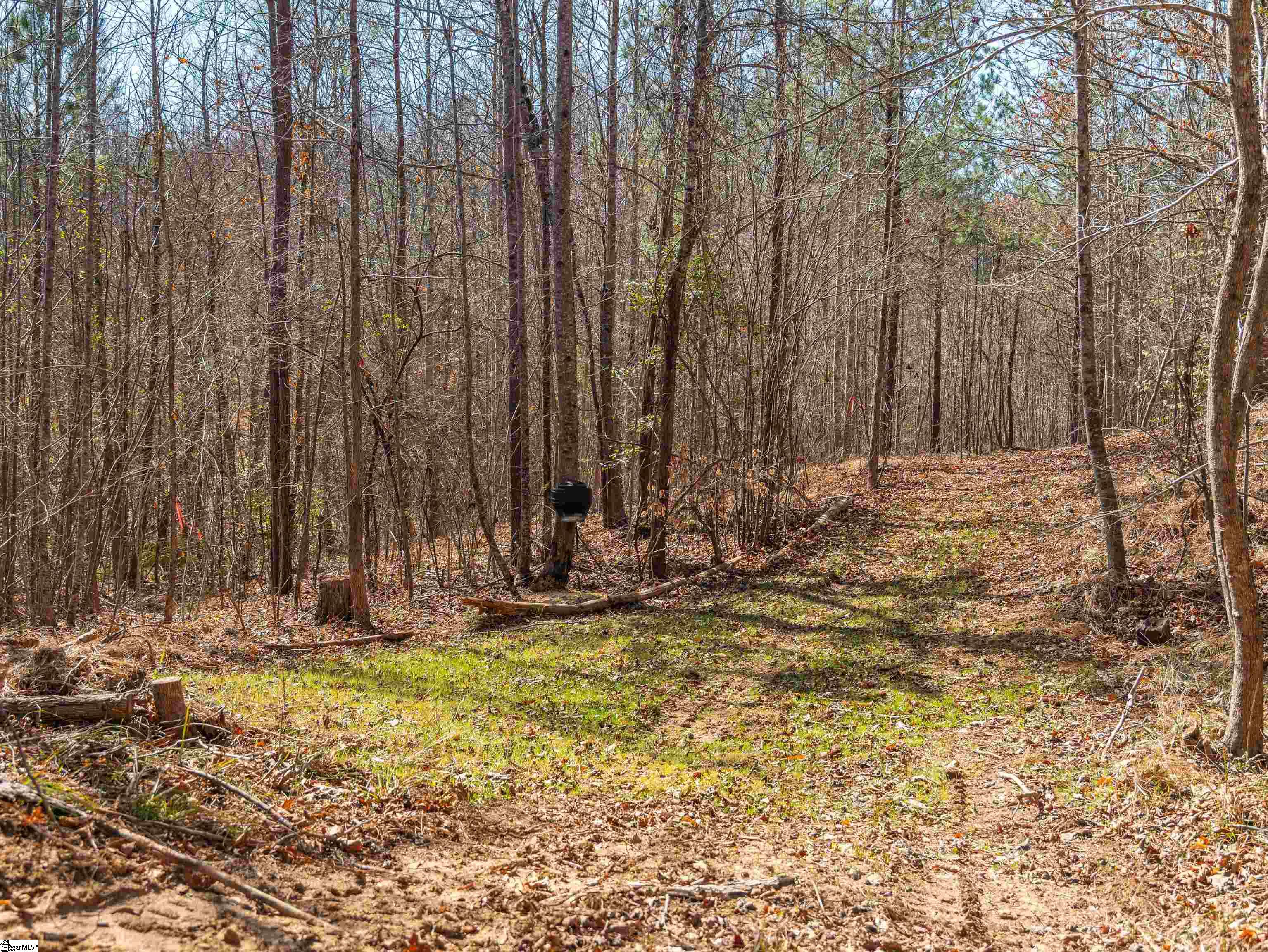0 Crowe Creek Road, Unit LOT E Six Mile, SC 29682 - Photo 4 of 18