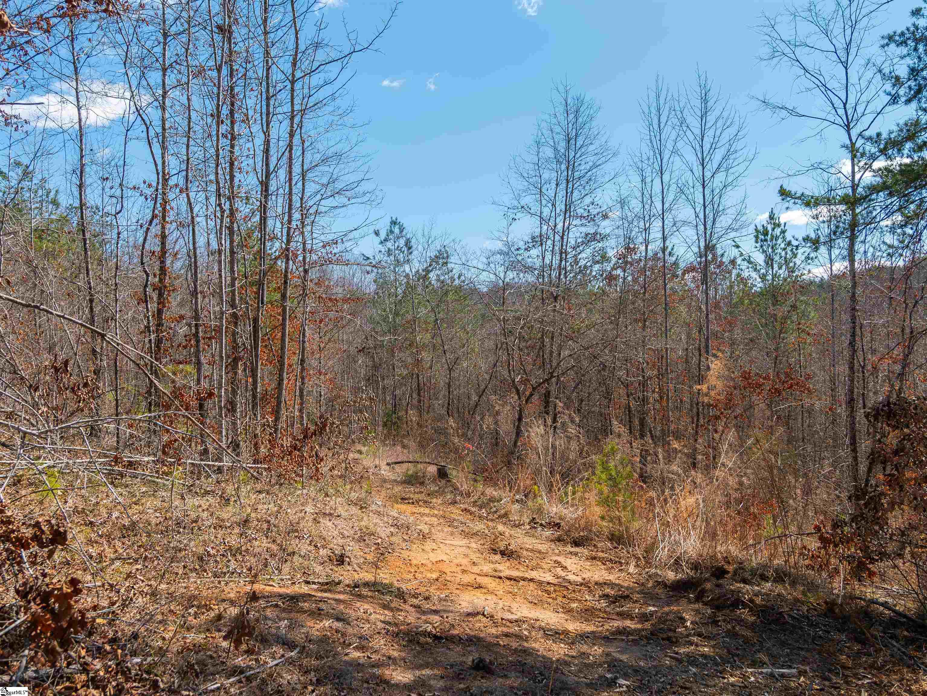 0 Crowe Creek Road, Unit LOT E Six Mile, SC 29682 - Photo 5 of 18