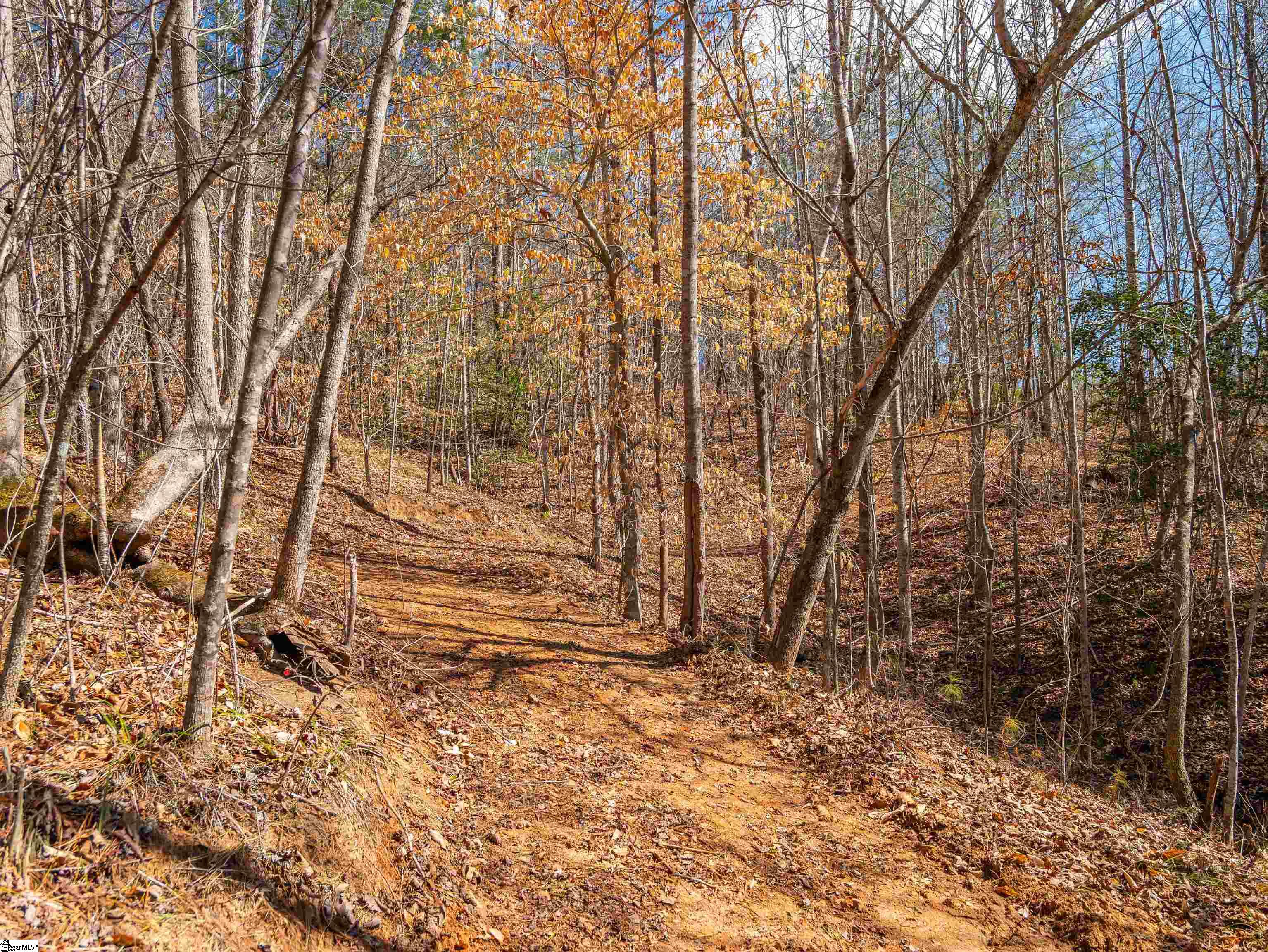 0 Crowe Creek Road, Unit LOT E Six Mile, SC 29682 - Photo 7 of 18