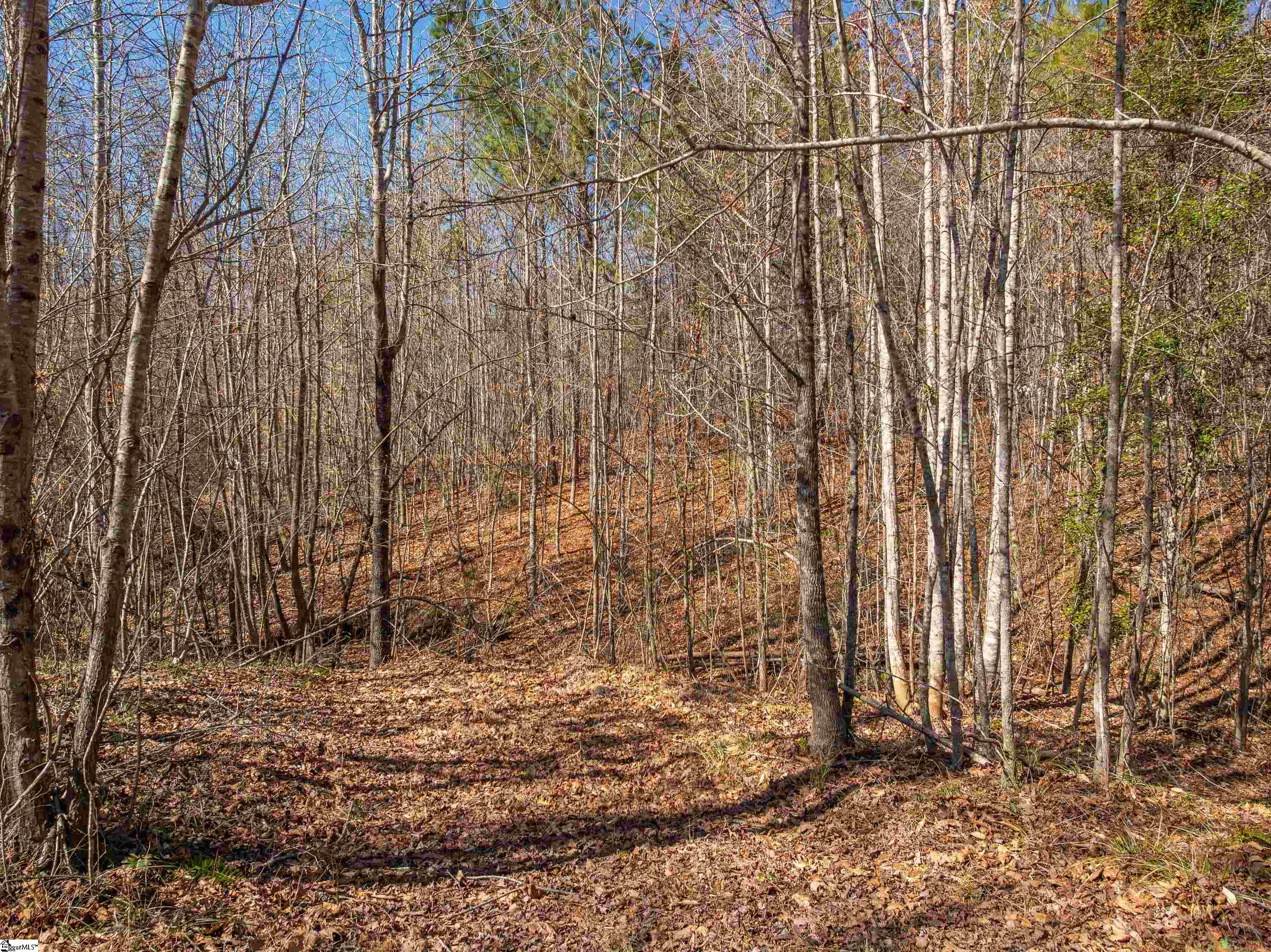 0 Crowe Creek Road, Unit LOT E Six Mile, SC 29682 - Photo 9 of 18