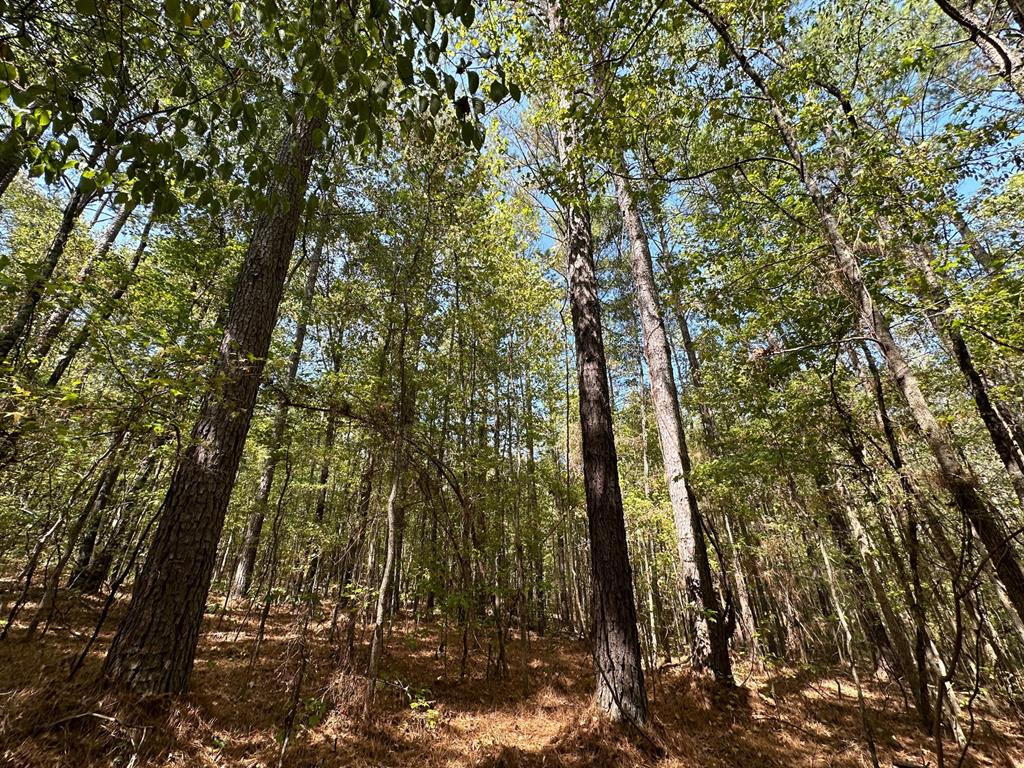 4 Whalen Road Kosciusko, MS 39090 - Photo 1 of 12 Main View