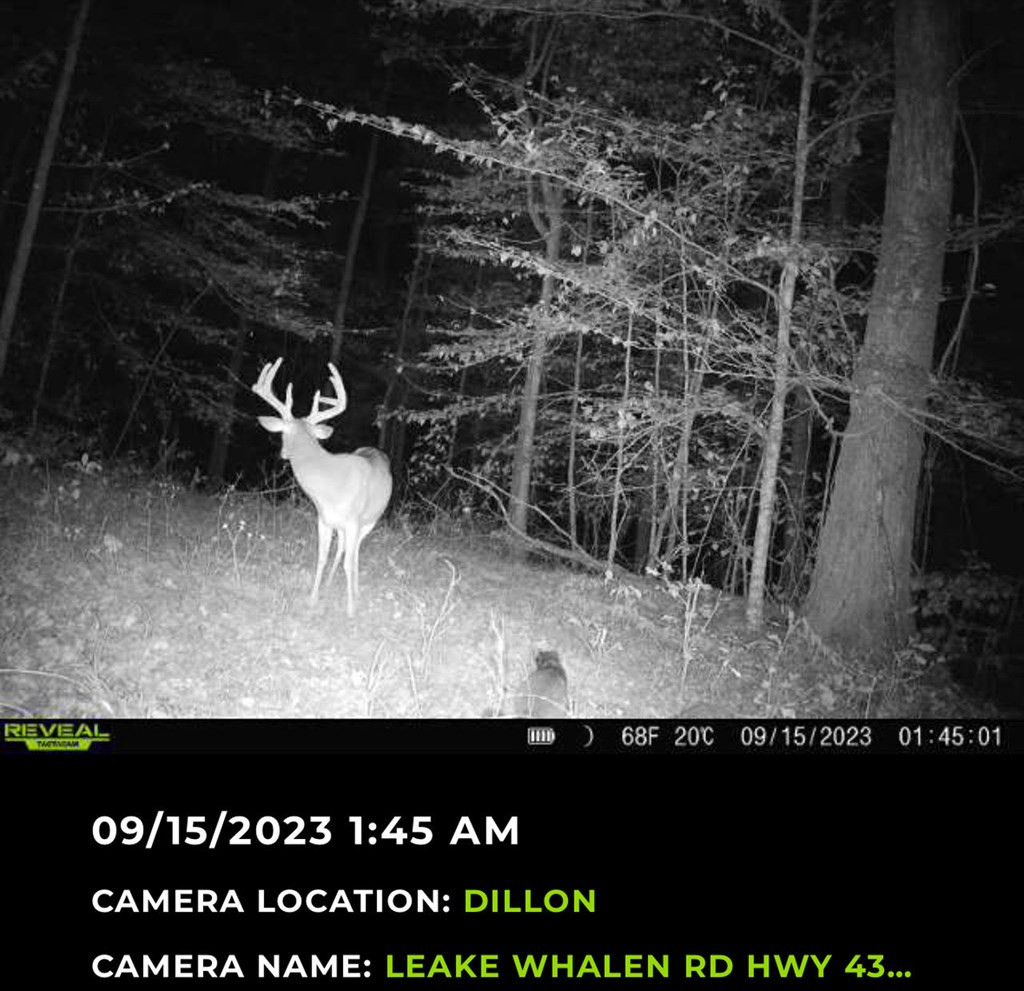 4 Whalen Road Kosciusko, MS 39090 - Photo 2 of 12 Photo 2