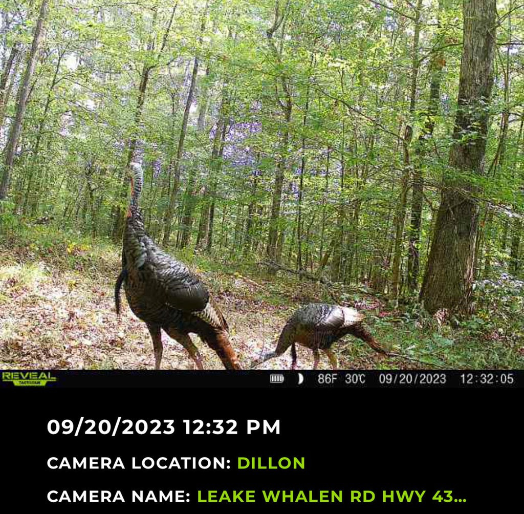 4 Whalen Road Kosciusko, MS 39090 - Photo 3 of 12 Photo 3