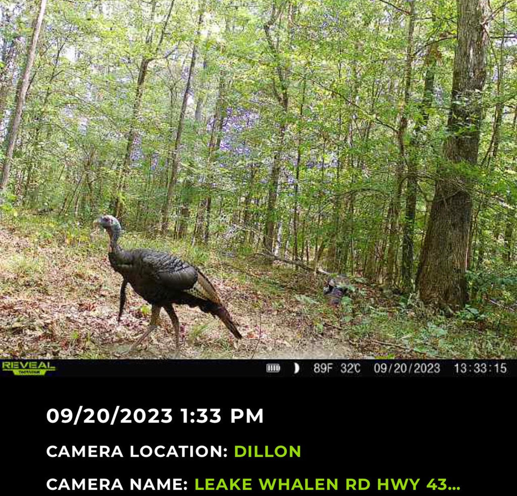 4 Whalen Road Kosciusko, MS 39090 - Photo 4 of 12 Photo 4