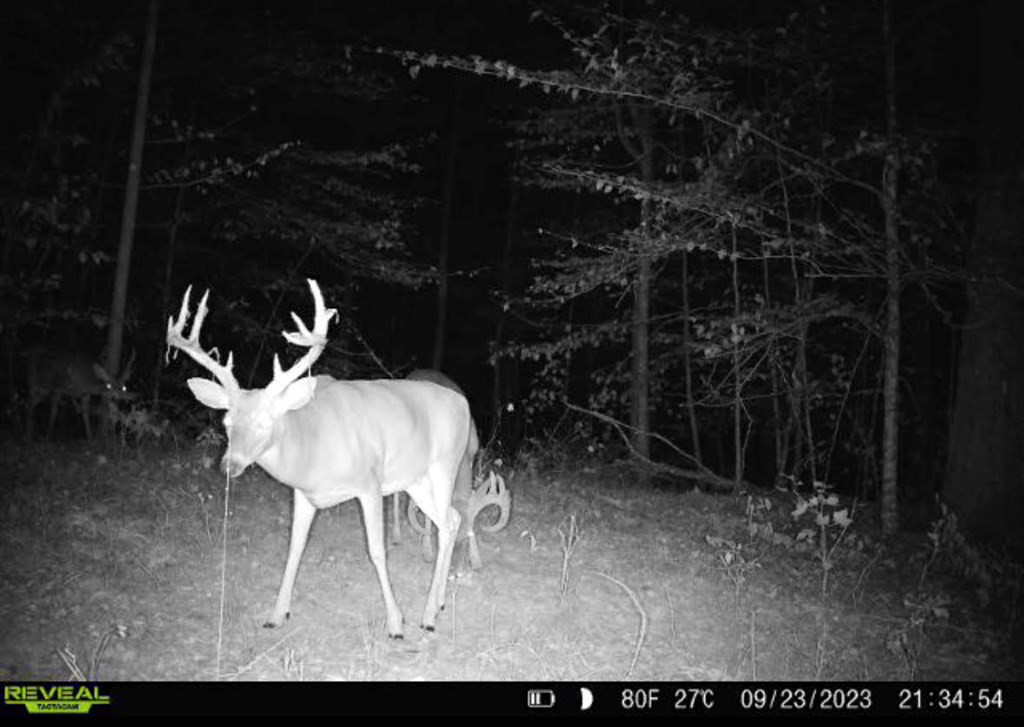 4 Whalen Road Kosciusko, MS 39090 - Photo 5 of 12 Photo 5