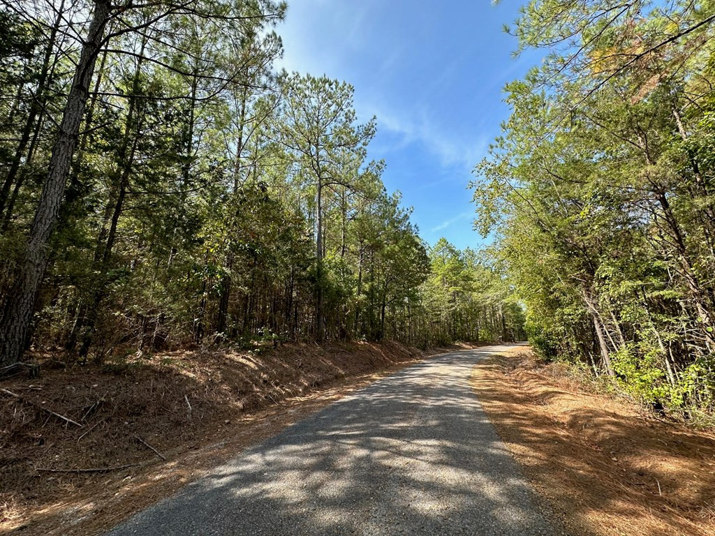 4 Whalen Road Kosciusko, MS 39090 - Photo 6 of 12 Photo 6
