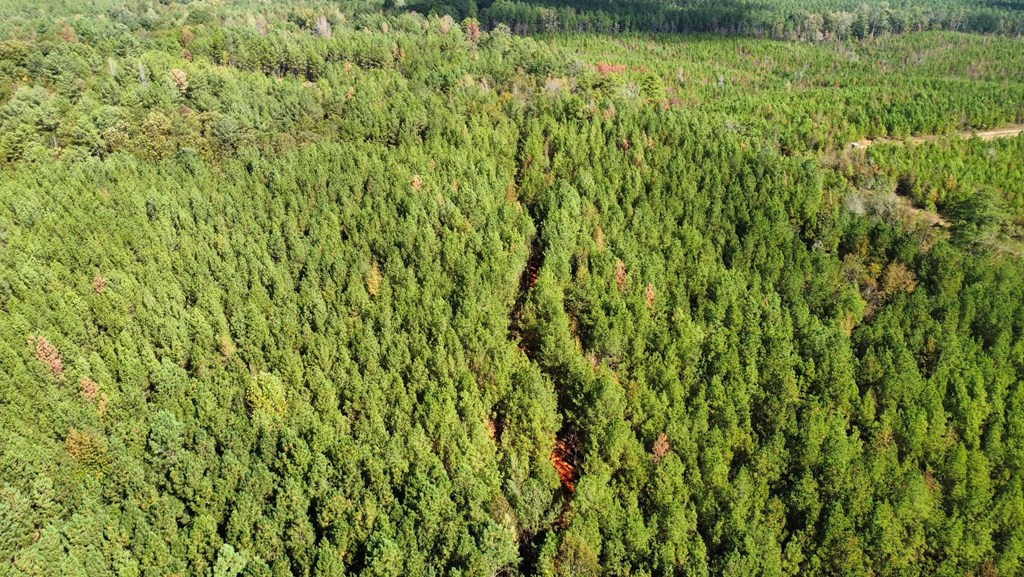 4 Whalen Road Kosciusko, MS 39090 - Photo 8 of 12 Photo 8