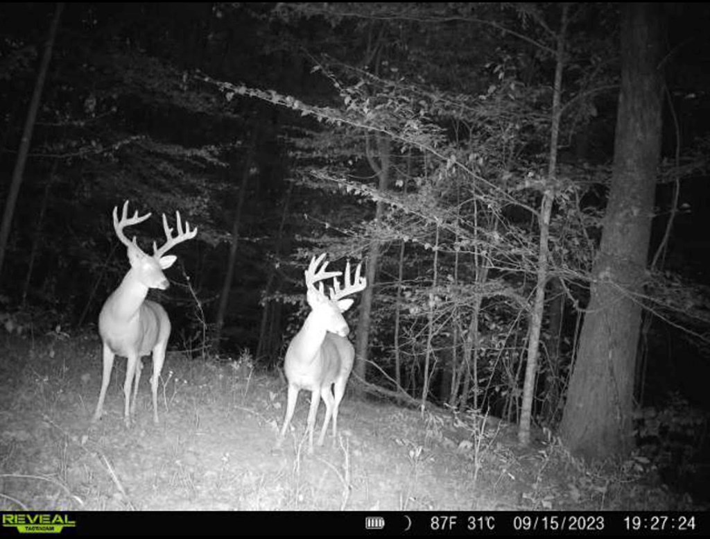 4 Whalen Road Kosciusko, MS 39090 - Photo 9 of 12 Photo 9